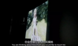 欧美变态视频,黑暗角落的隐秘世界